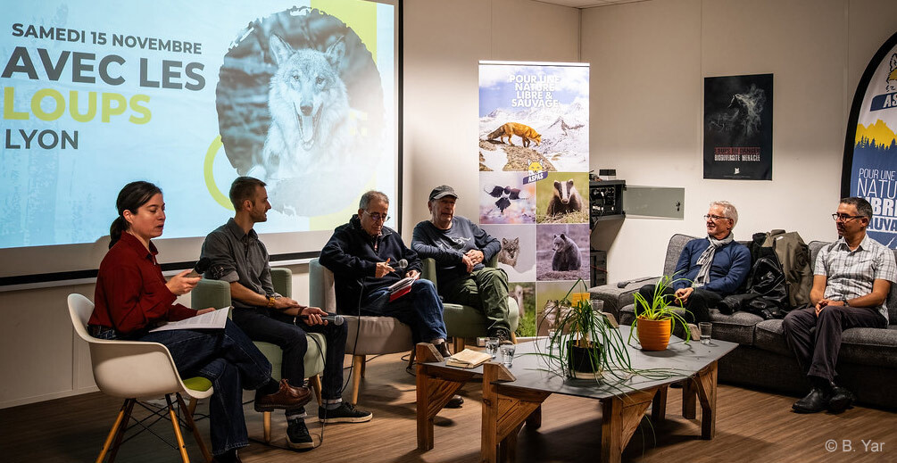 Avec les loups : r&eacute;&eacute;coutez la table ronde des experts