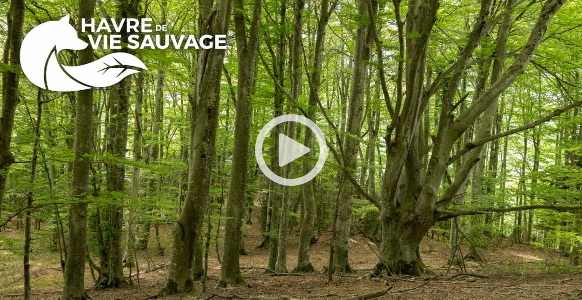 Un nouveau Havre de Vie Sauvage&reg; voir le jour dans le Vercors