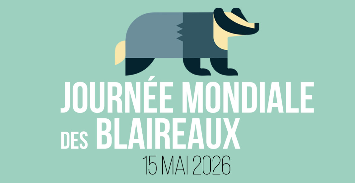 Journ&eacute;e mondiale des blaireaux du 15 mai : demandez le programme !