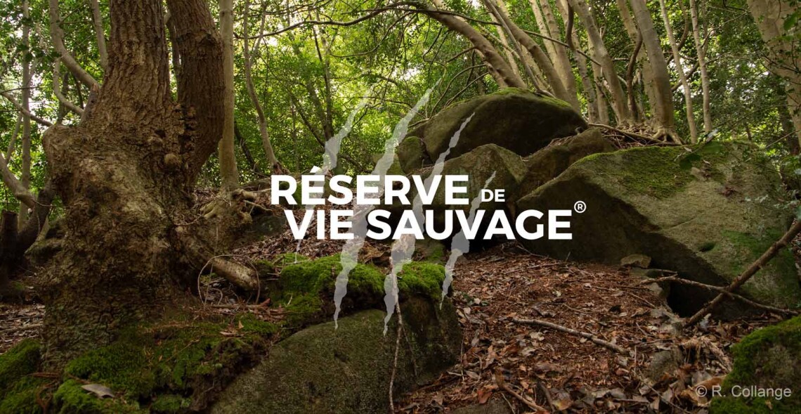 Les R&eacute;serves de Vie Sauvage&reg; gagnent du terrain !