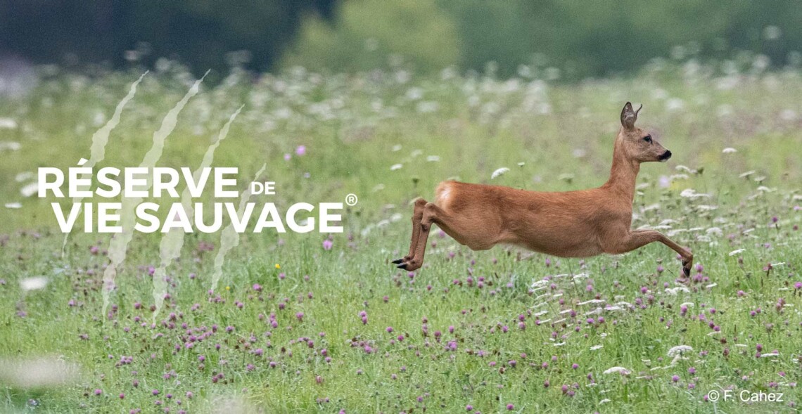 Des heureux &eacute;v&egrave;nements en perspective !