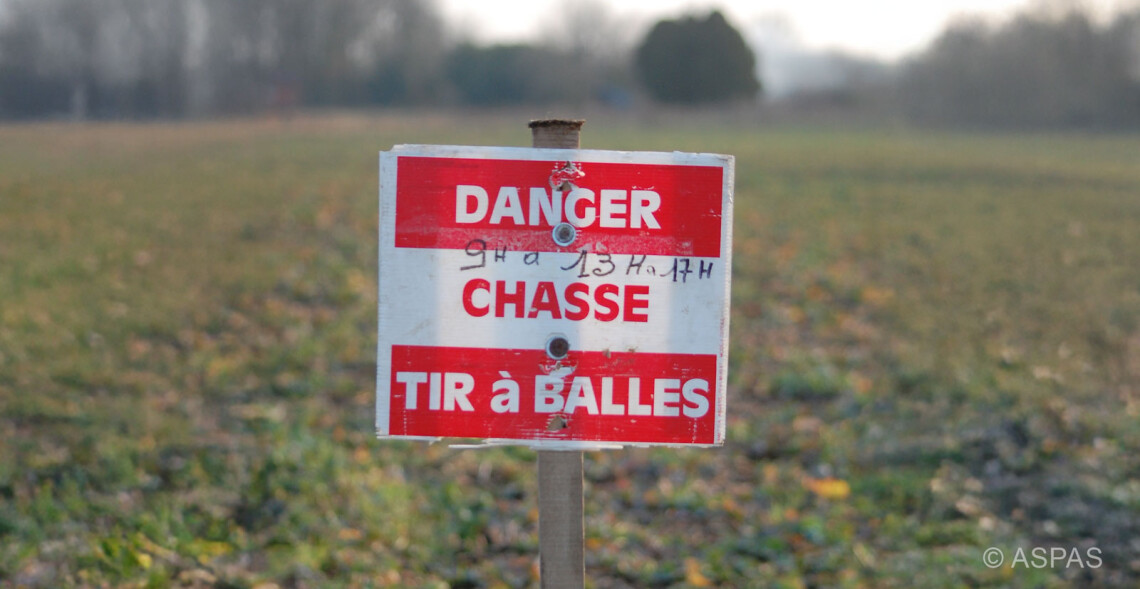 Saison de chasse 2024-2025 : des accidents et incidents en forte hausse