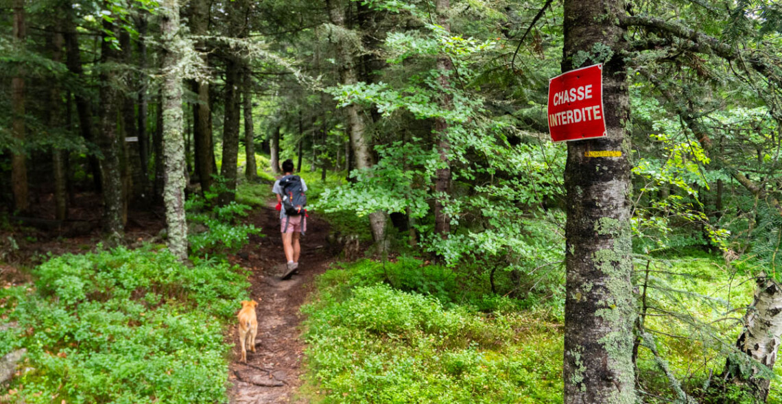 Besançon limite la chasse dans ses forêts