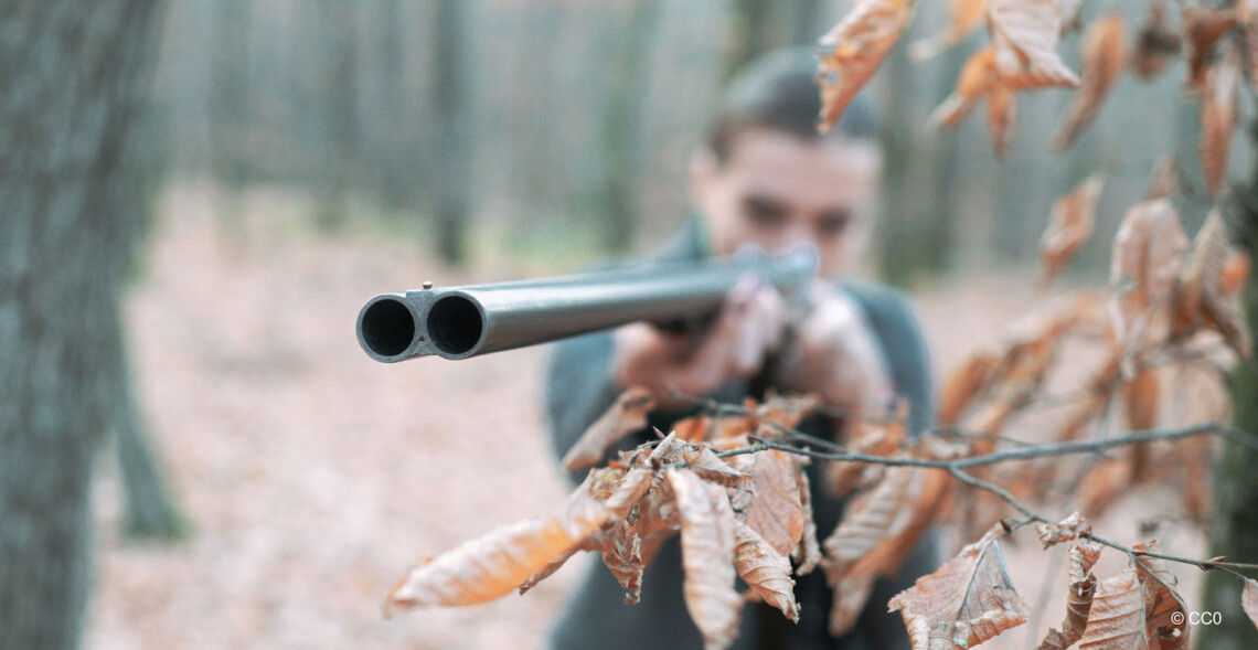 R&eacute;trospective 2025 de l'ASPAS