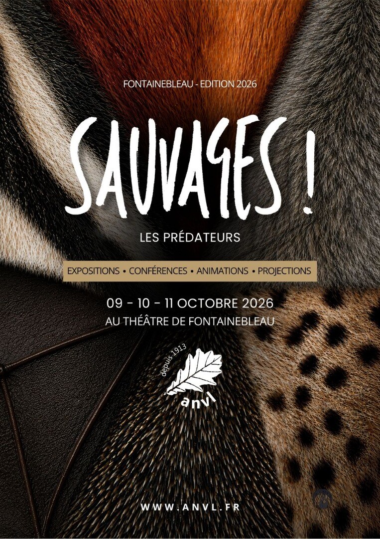 A pas de Loup