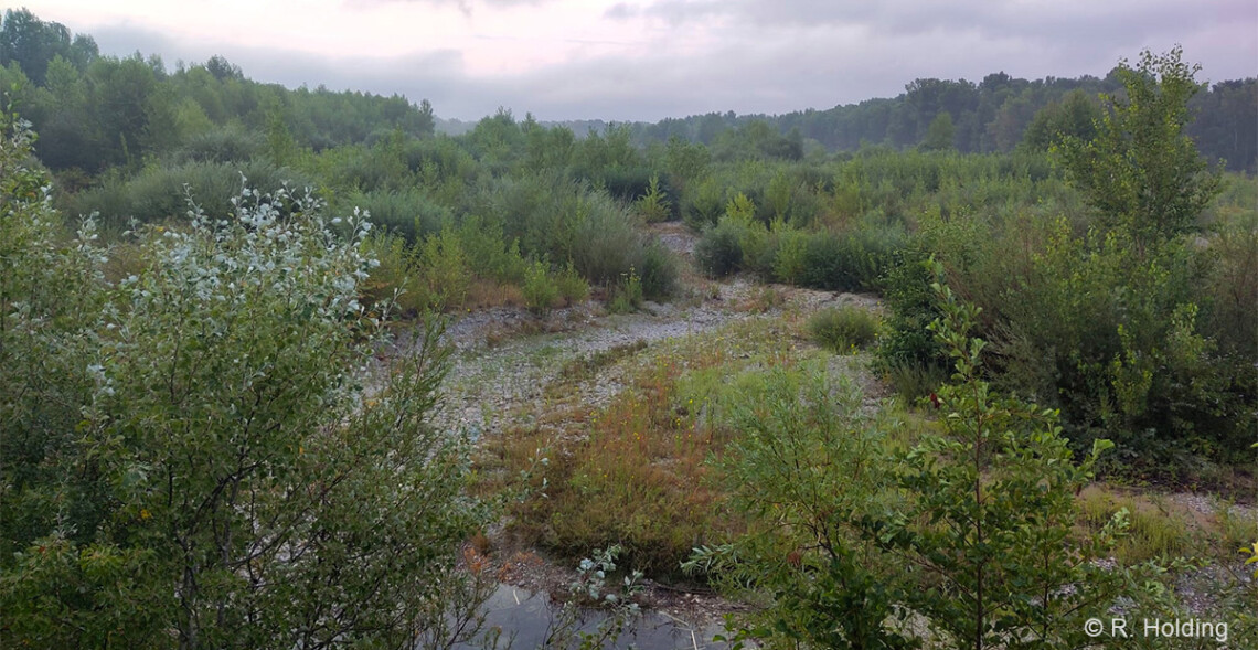 L'ASPAS a fait l'ouverture de la chasse dans la Réserve naturelle des Ramières